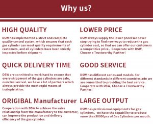 Cryogenic Liquid Container 10 welded Insulated cryogenic liquid container dewar cylinder