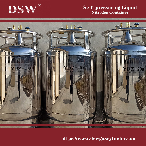 liquid nitrogen container, selfpressurized LN2 container